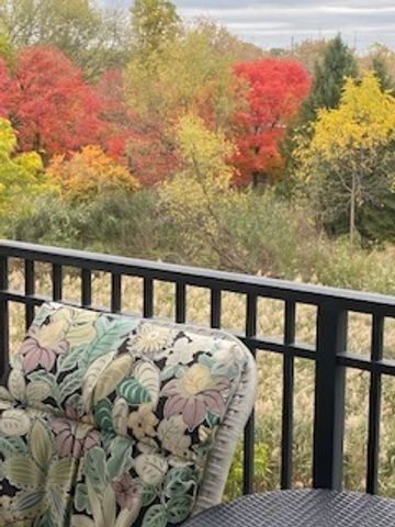 440 W Mahogany Court 312, Palatine, IL 60067