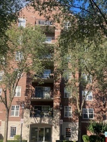 440 W Mahogany Court 312, Palatine, IL 60067