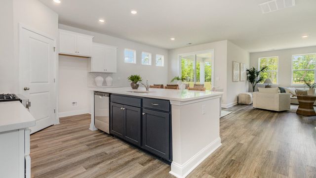 8049 Panda Bear Way, Conway, SC 29526