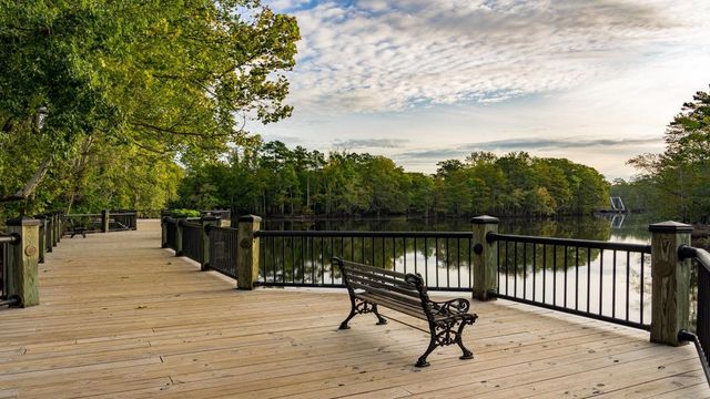 8049 Panda Bear Way, Conway, SC 29526