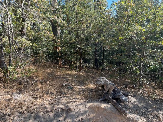 0 Lone Pine Dr., Arrowbear, CA 92382