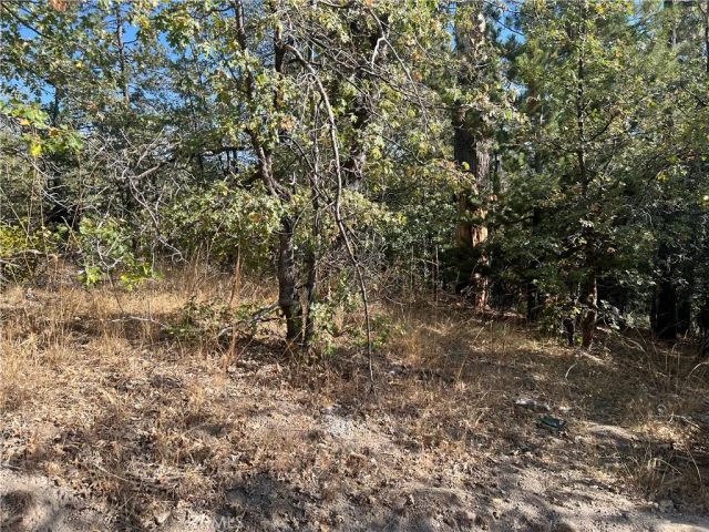 0 Lone Pine Dr., Arrowbear, CA 92382