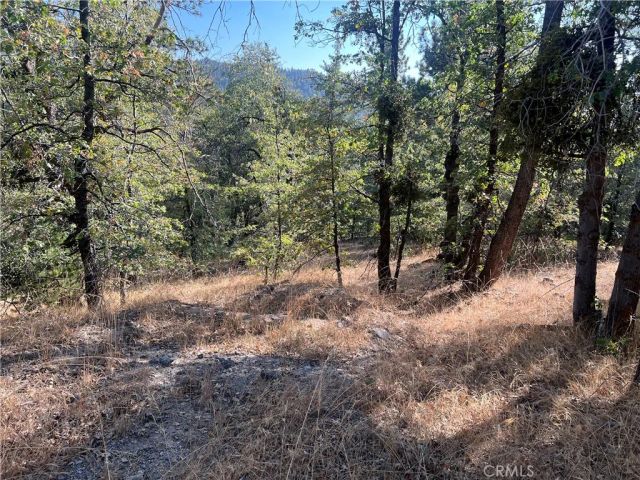 0 Lone Pine Dr., Arrowbear, CA 92382