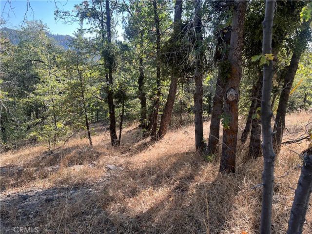 0 Lone Pine Dr., Arrowbear, CA 92382
