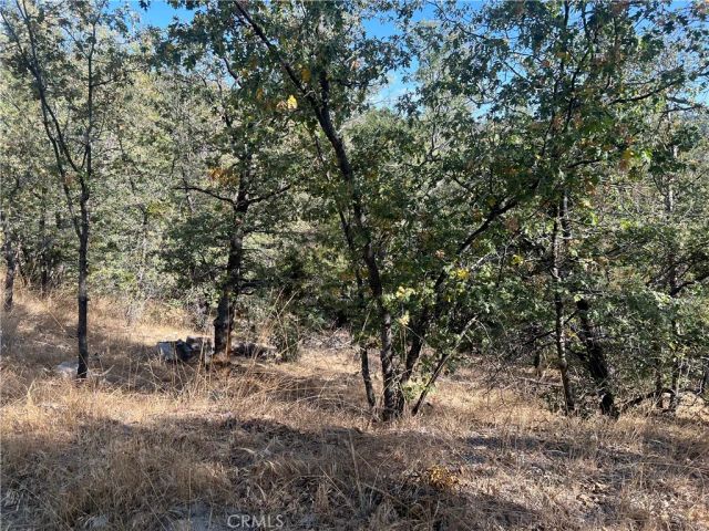 0 Lone Pine Dr., Arrowbear, CA 92382