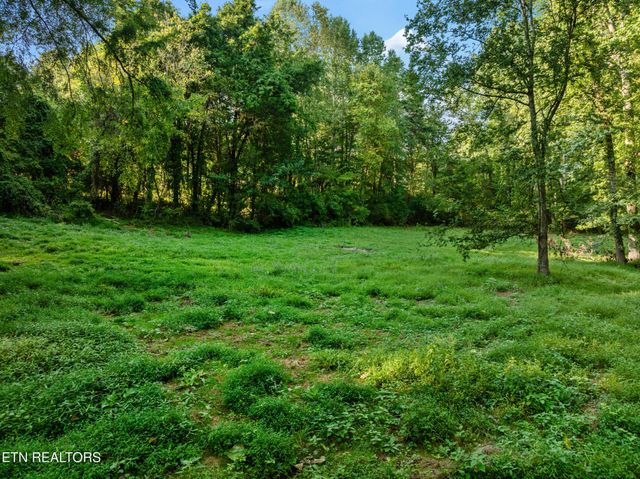 4331 Cabbage Drive, Knoxville, TN 37938