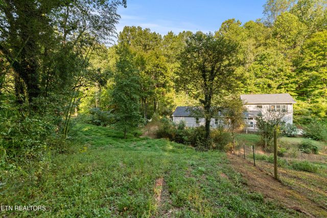 4331 Cabbage Drive, Knoxville, TN 37938