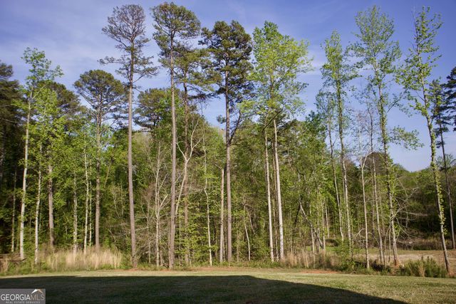 2815 Pilgrim Mill Road, Cumming, GA 30041