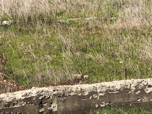 1513 Harpole Road, Redding, CA 96002