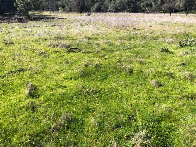 1513 Harpole Road, Redding, CA 96002