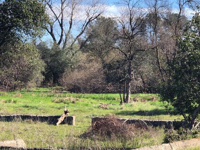 1513 Harpole Road, Redding, CA 96002