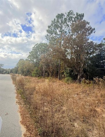 0 UNASSIGNED, Interlachen, FL 32148