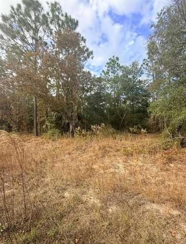 0 UNASSIGNED, Interlachen, FL 32148