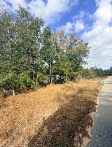 0 UNASSIGNED, Interlachen, FL 32148