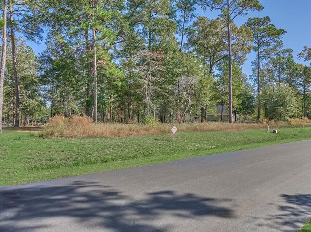 4437 Holly Trail Road, Montgomery, TX 77316