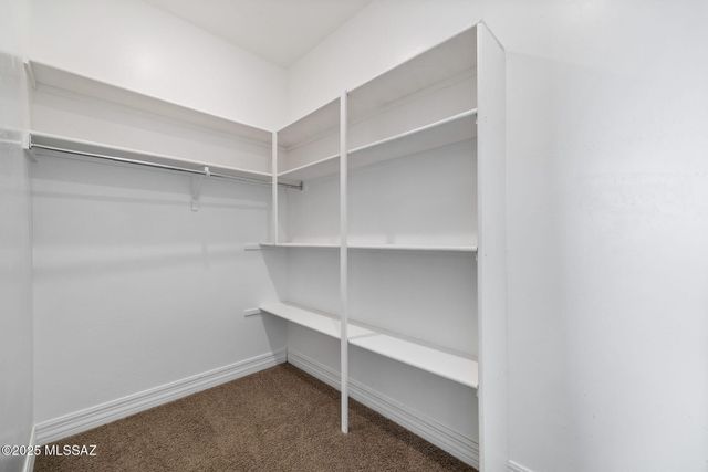 4182 W Gonsalves Way, Snowflake, AZ 85937