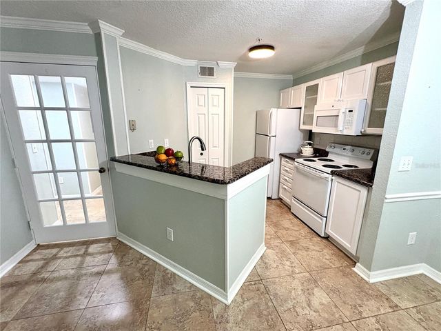 18107 PEREGRINES PERCH PLACE 6111, Lutz, FL 33558