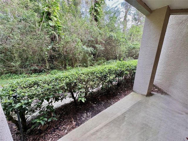 18107 PEREGRINES PERCH PLACE 6111, Lutz, FL 33558