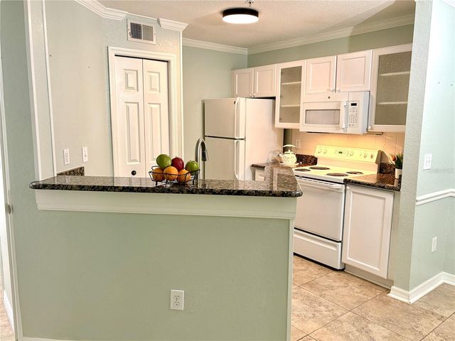 18107 PEREGRINES PERCH PLACE 6111, Lutz, FL 33558