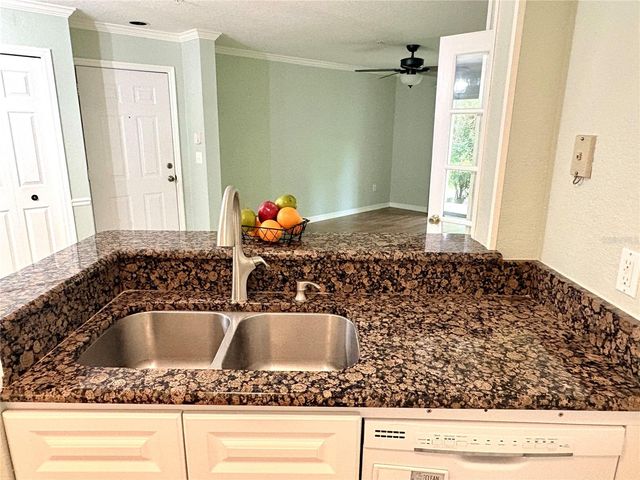 18107 PEREGRINES PERCH PLACE 6111, Lutz, FL 33558