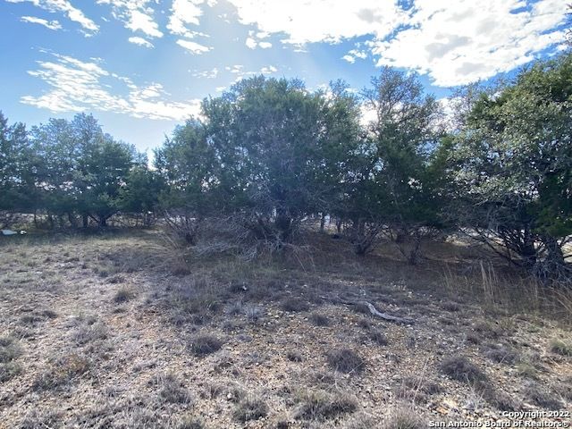 0 John Price, Blanco, TX 78133