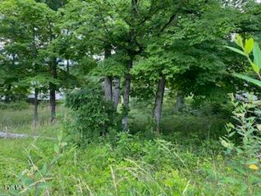 0047 Wild Rose Lane, Johnson City, TN 37601