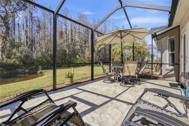 1133 SWEET JASMINE DRIVE, Trinity, FL 34655