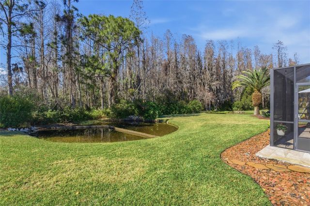 1133 SWEET JASMINE DRIVE, Trinity, FL 34655