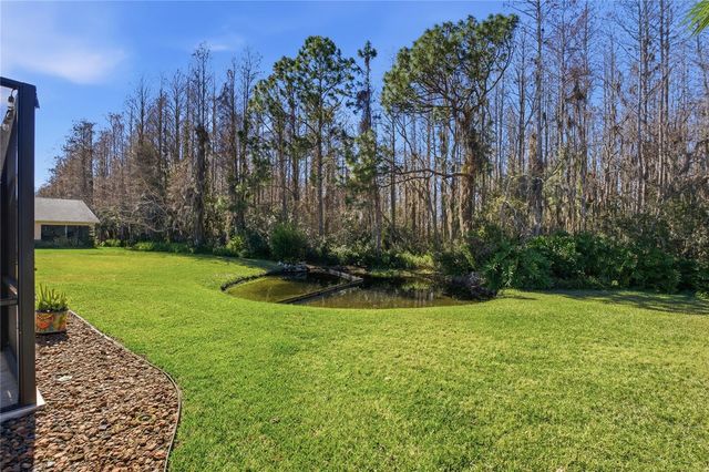 1133 SWEET JASMINE DRIVE, Trinity, FL 34655