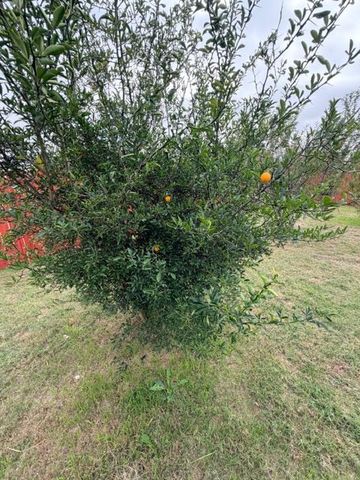 902 Draco DR, Killeen, TX 76542