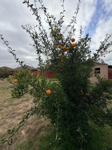 902 Draco DR, Killeen, TX 76542