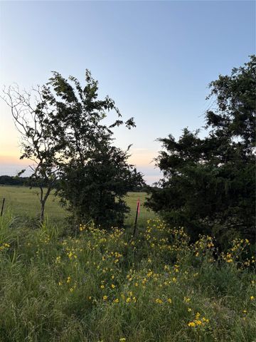 0000 Fm-2293, Bremond, TX 76629