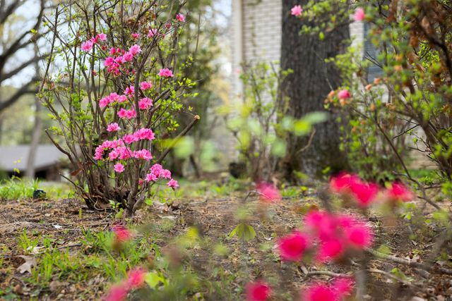1407 Redbud, Jonesboro, AR 72401