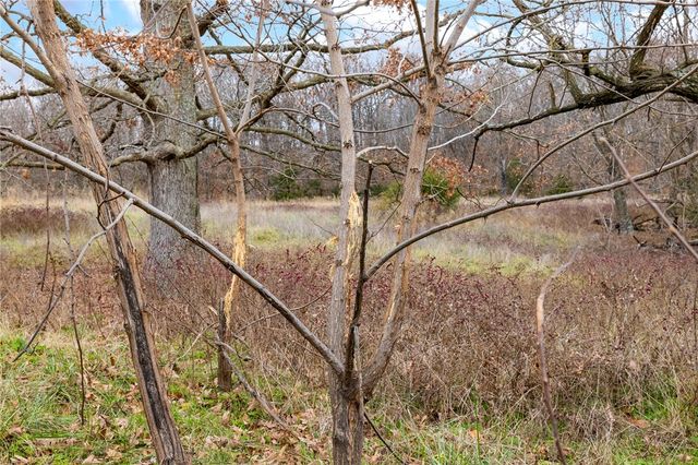 654 County Road 637, Berryville, AR 72616