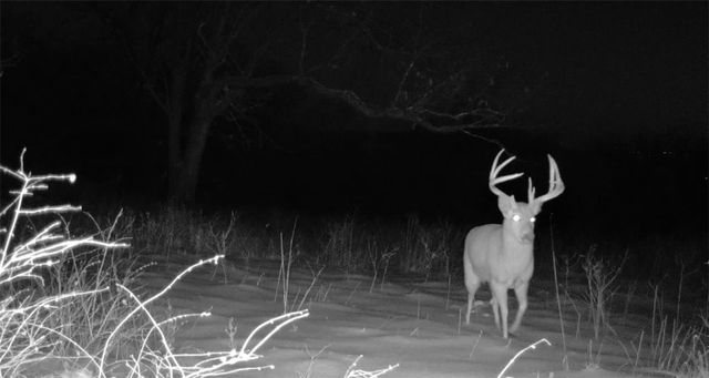 654 County Road 637, Berryville, AR 72616