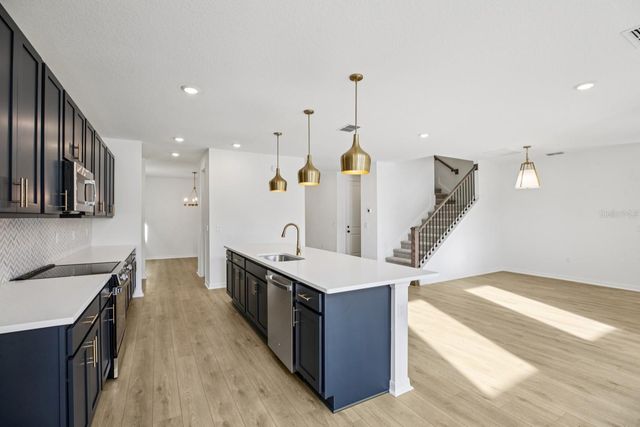 22137 AMBERBUSH COURT, Mount Dora, FL 32757