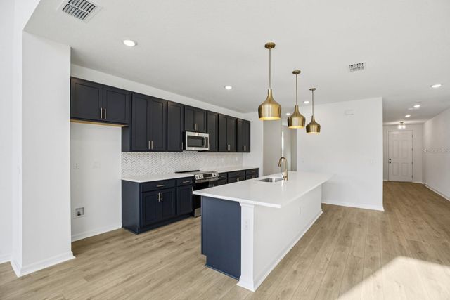 22137 AMBERBUSH COURT, Mount Dora, FL 32757