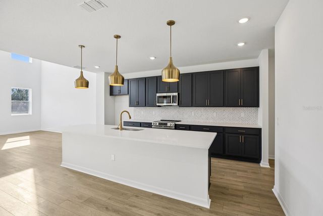 22137 AMBERBUSH COURT, Mount Dora, FL 32757