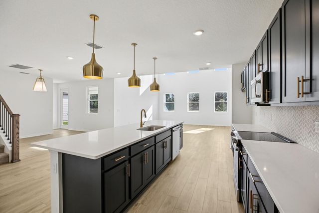 22137 AMBERBUSH COURT, Mount Dora, FL 32757