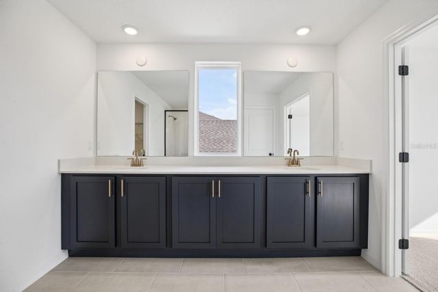 22137 AMBERBUSH COURT, Mount Dora, FL 32757