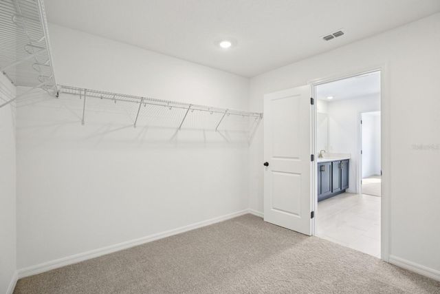 22137 AMBERBUSH COURT, Mount Dora, FL 32757