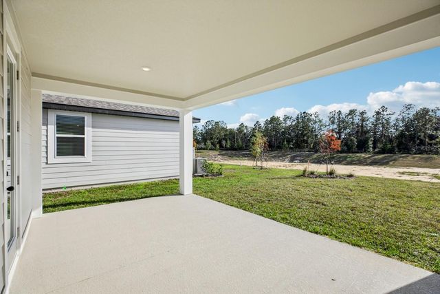 22137 AMBERBUSH COURT, Mount Dora, FL 32757