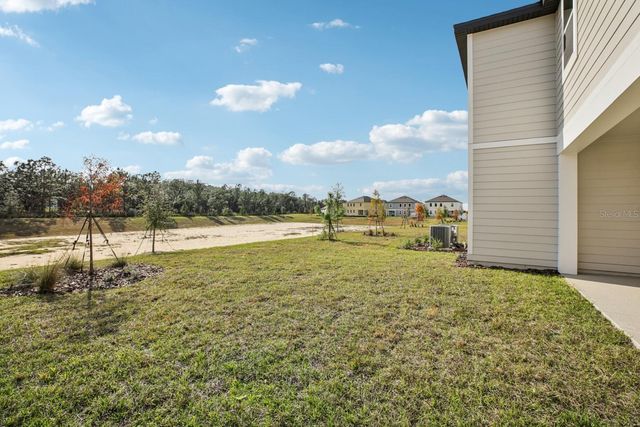 22137 AMBERBUSH COURT, Mount Dora, FL 32757