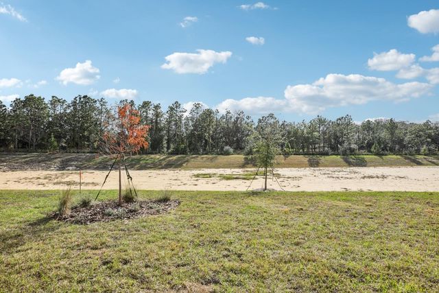 22137 AMBERBUSH COURT, Mount Dora, FL 32757