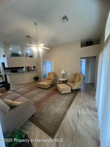 11425 Billingham Boulevard, Spring Hill, FL 34609
