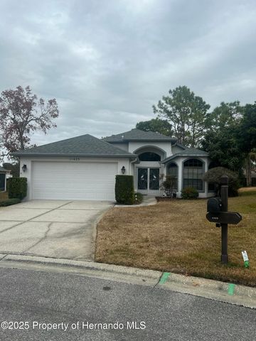 11425 Billingham Boulevard, Spring Hill, FL 34609