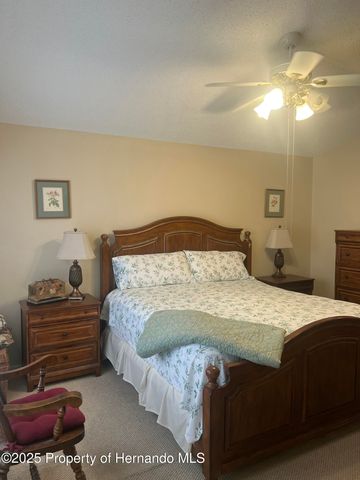 11425 Billingham Boulevard, Spring Hill, FL 34609
