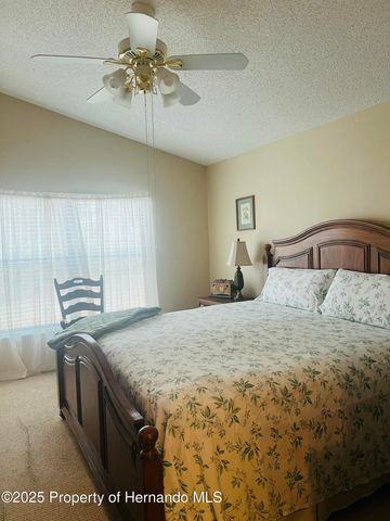 11425 Billingham Boulevard, Spring Hill, FL 34609