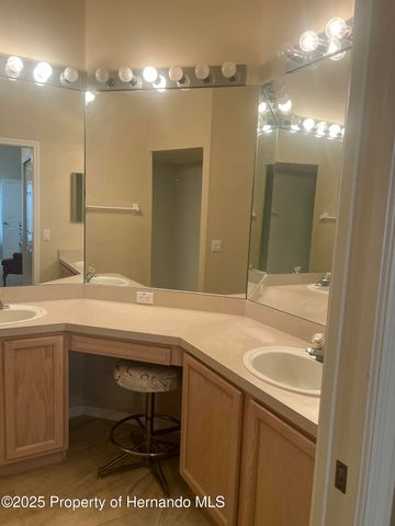 11425 Billingham Boulevard, Spring Hill, FL 34609