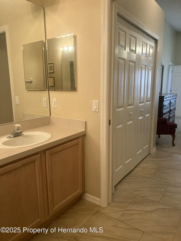 11425 Billingham Boulevard, Spring Hill, FL 34609